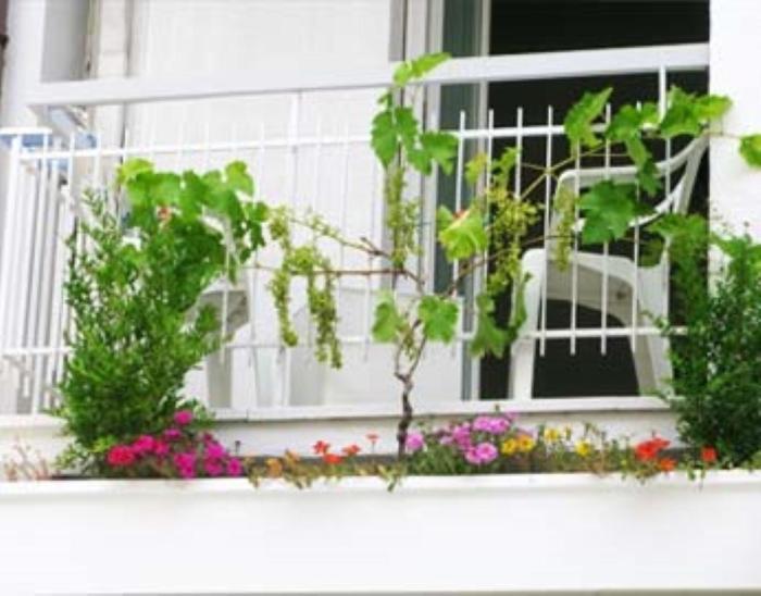B&B Residence Sorriso Cattolica Bagian luar foto